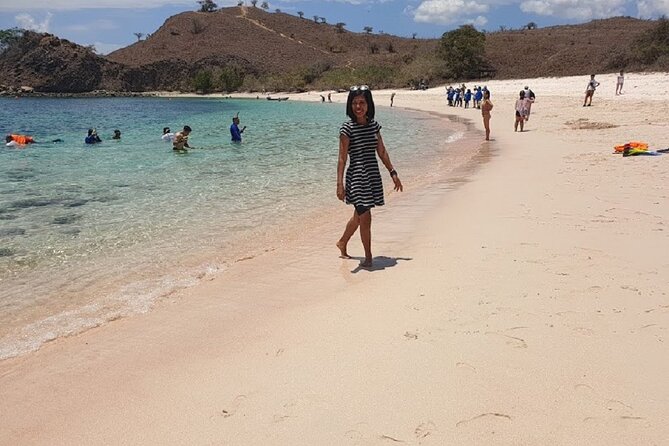 1- day Komodo Island Hopping Tour by Speed Boat departure From Labuan bajo - Komodo Island means a careful wildlife walk