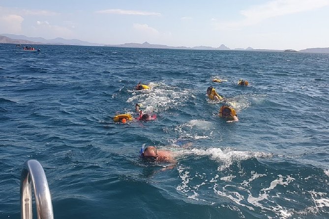 1- day Komodo Island Hopping Tour by Speed Boat departure From Labuan bajo - Padar Island gives you the signature view