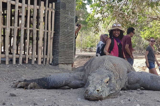 1- day Komodo island Tour hopping around by Speed Boat - Padar Island and the first hard look at the day