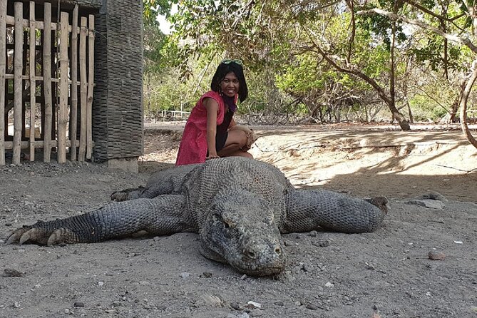 1- day Komodo island Tour hopping around by Speed Boat - Taka Makassar, a tiny sandbar in the sea