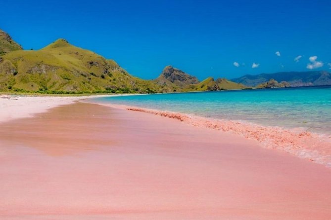 1 Day Komodo Trip by Private Fast Boat - Komodo Island: the reason many people book