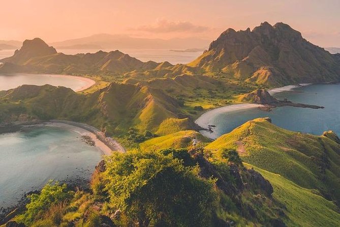 1 Day Komodo Trip by Private Fast Boat - What the private fast boat changes