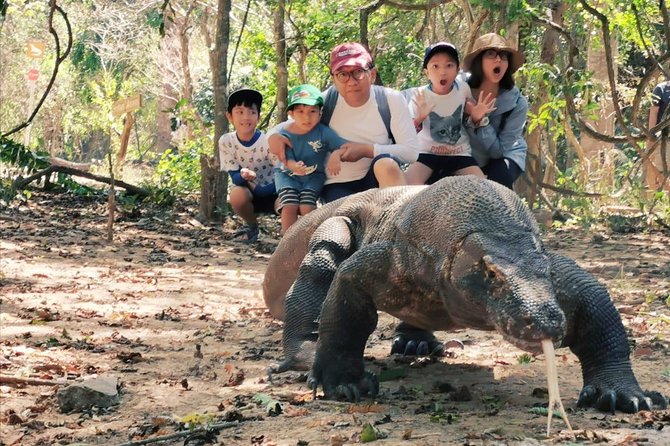 1 Day Komodo Trip By Share Fast Boat - The fast boat and what $140 really buys
