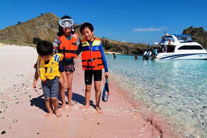 1 Day Komodo Trip By Share Fast Boat - Manta Point: a chance encounter, not a promise