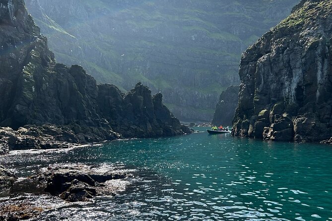 1 Hour Iceland Nature and Wildlife RIB Small Group Guided Safari - A fast ride from Bakkagerði into East Iceland’s wild coast