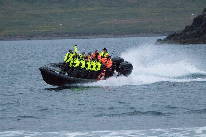 1 Hour Iceland Nature and Wildlife RIB Small Group Guided Safari - The possible bonus: whale watching in open water