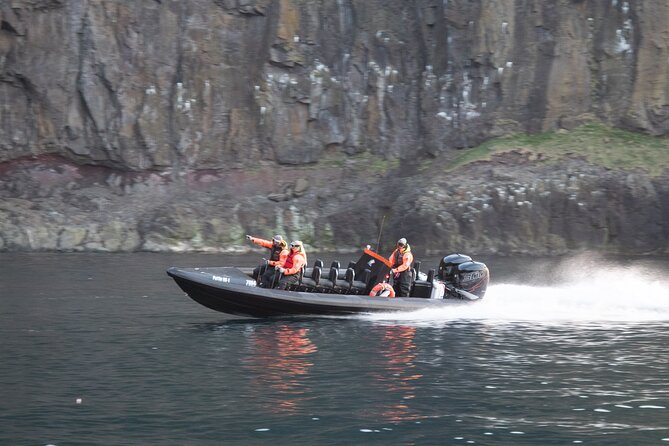 1 Hour Iceland Nature and Wildlife RIB Small Group Guided Safari - Warm gear and boarding considerations