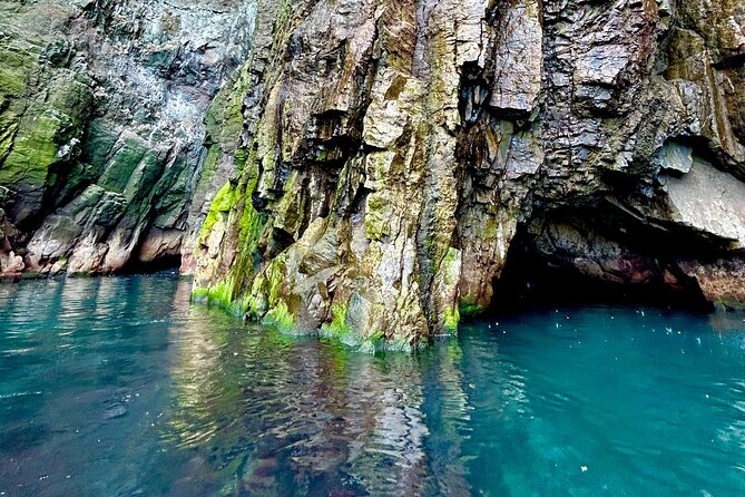 1 Hour Iceland Nature and Wildlife RIB Small Group Guided Safari - Who will enjoy this RIB safari most?
