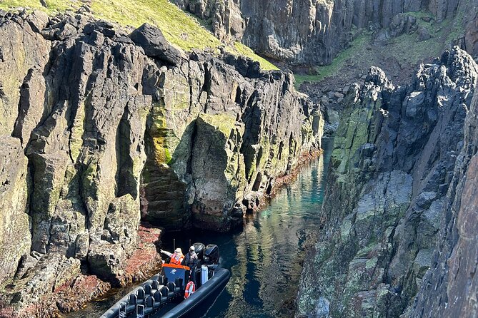 1 Hour Iceland Nature and Wildlife RIB Small Group Guided Safari - The first stop: puffin cliffs and nesting seabirds