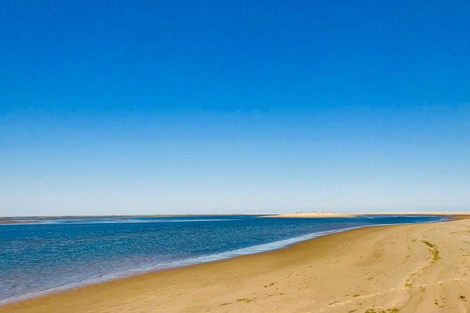 1 or 2 Hour Speed Boat Tour - Ria Formosa - Farol Island, lighthouse views, and a short break