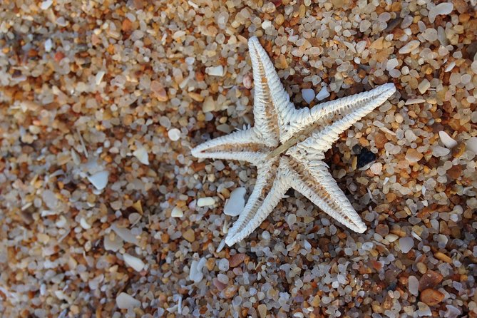 1 or 2 Hour Speed Boat Tour - Ria Formosa - Desert beaches and secret spots