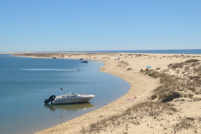 1 or 2 Hour Speed Boat Tour - Ria Formosa - What the skipper adds to the ride