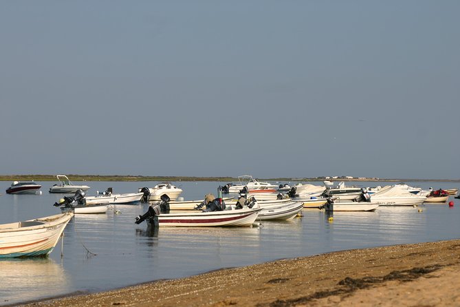 1 or 2 Hour Speed Boat Tour - Ria Formosa - Is $33.64 good value?