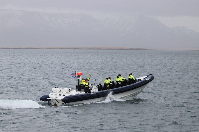 2-Hour RIB Boat Whale Watching Tour from Reykjavik - Key points to know before you book