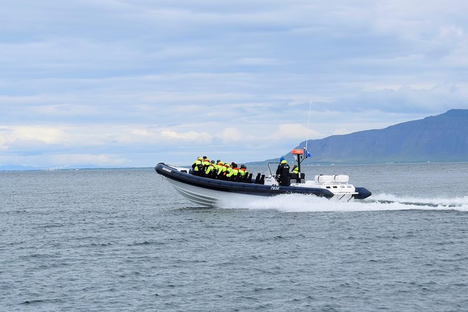 2-Hour RIB Boat Whale Watching Tour from Reykjavik - What the two-hour timing really means