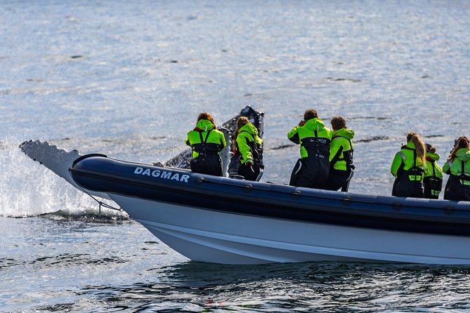 2-Hour RIB Boat Whale Watching Tour from Reykjavik - Is $189.87 good value?