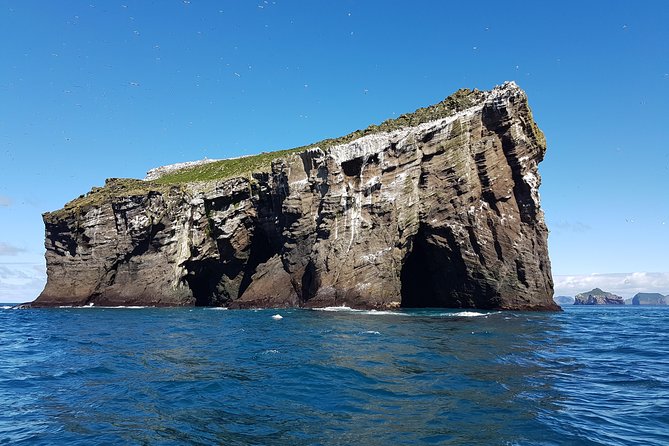 2 hour Round Trip in Vestmannaeyjar on a RIB Boat - Possible whales and seals