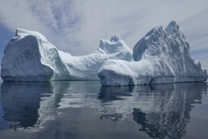 3 Hour Ocean Safari by Zodiac Boat -Whales & Icebergs seasonally - Booking and cancellation details that matter