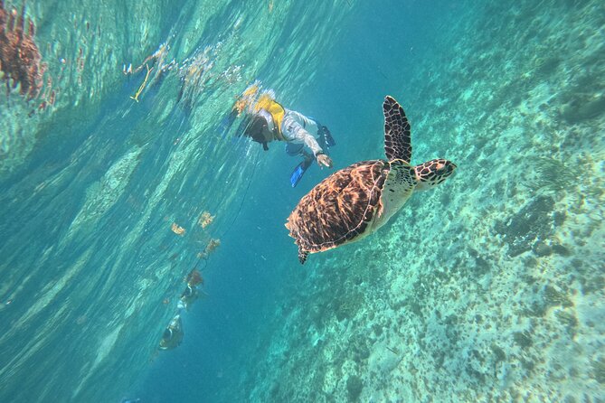 3 in 1 Jungle Speedboat and Snorkeling in Cancun - Guide quality and the safety balance