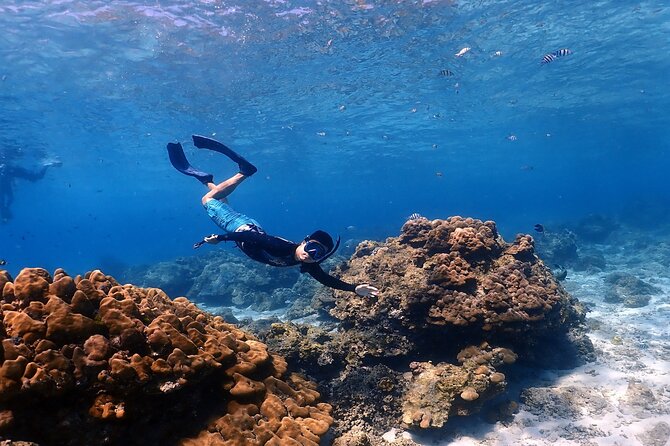 3-Island Speedboat Tour: Racha Noi, Racha Yai & Maiton - Three islands, one fast-moving day