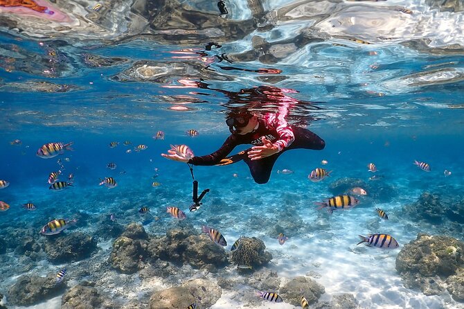 3-Island Speedboat Tour: Racha Noi, Racha Yai & Maiton - Maiton Island and the final island setting
