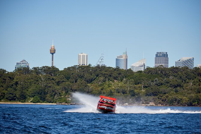 30-Minute Sydney Harbour Jet Boat Thrill Ride - Fort Denison, the Navy fleet, and the outer harbour