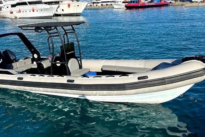 4-Hour Private Speedboat to See Dolphins from Hurghada - Dolphin House and the 80% sighting claim