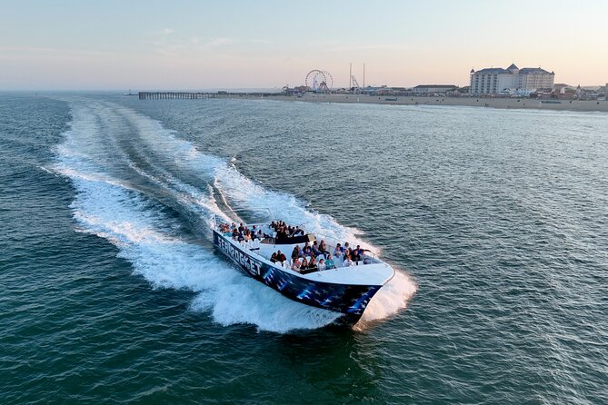 45-Minute Sea Rocket Speed Boat & Dolphin Cruise in Ocean City MD - From Gentle Cruise to Full-Speed Run