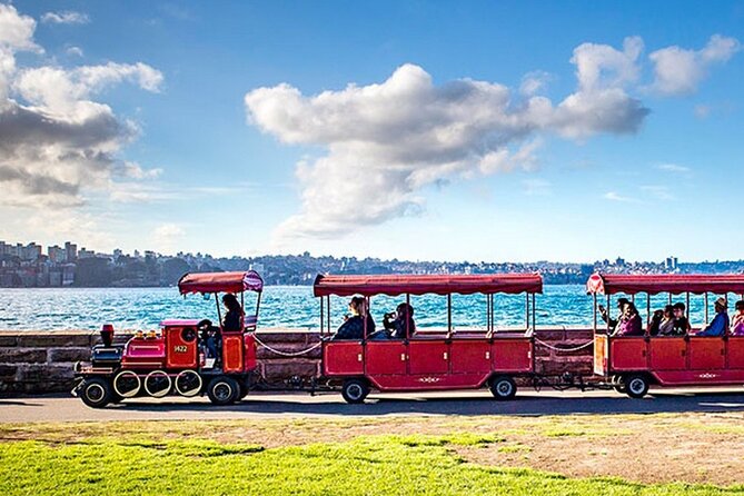 45-Minute Sydney Harbour Adventure Jet Boat Ride - Under the Harbour Bridge and past Luna Park