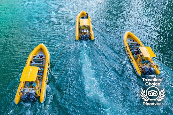 45-Minute Thrilling Speedboat Tour to Atlantis Hotel - Who will enjoy this boat ride most?
