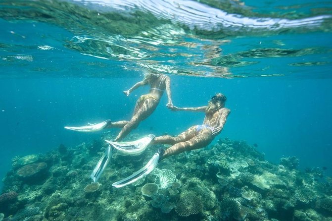 5-in-1 Adventure in Cancun: ATVs, Ziplines, Speed Boat, Snorkel and Cenote Swim - The cenote is more swimming hole than cave