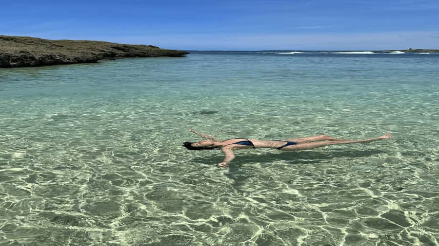 5 Islands All-Inclusive Speedboat w/Snorkeling Sea Turtle - Ile aux Aigrettes marks the move into the relaxed part of the day