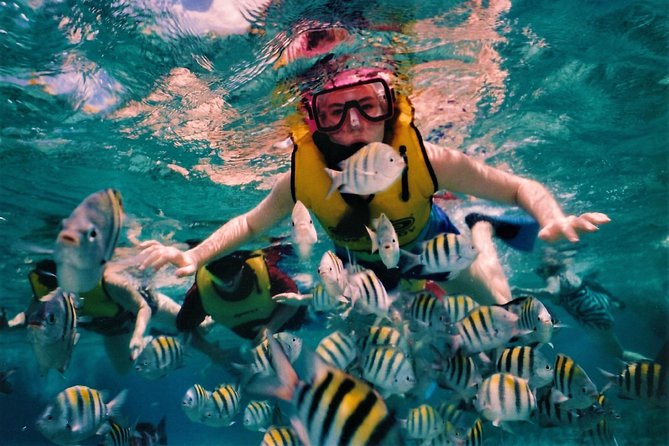 5 Islands Speedboat Cruise incl. Snorkeling in Blue Bay + Lunch at Ile aux Cerfs - Blue Bay Marine Park is the main event