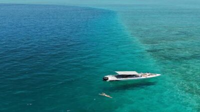 5 Islands Speedboat w/Snorkeling Sea Turtle + Lunch & Drinks