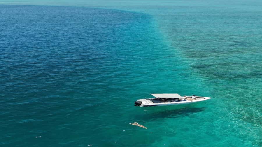 5 Islands Speedboat w/Snorkeling Sea Turtle + Lunch & Drinks - Ile aux Cerfs, the opening island stop