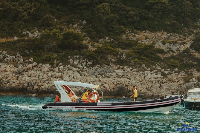 8 Hour Private Sea Safari Speedboat Dubrovnik - Leaving from Obala Stjepana Radića at 10:00