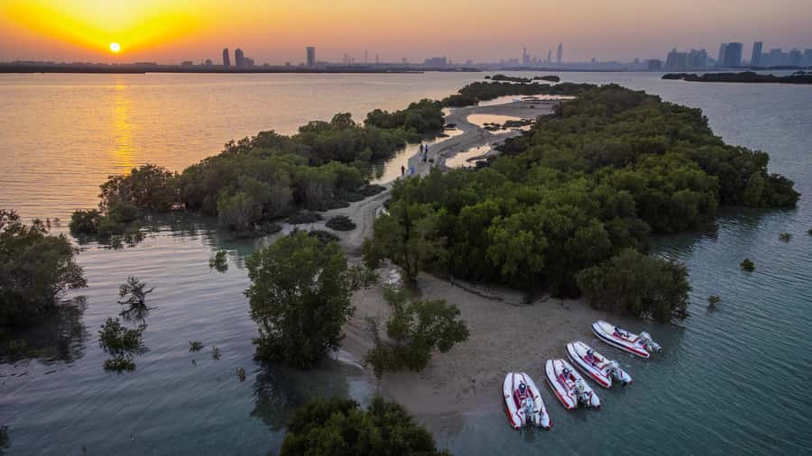 Abu Dhabi: Yas Island Self-Driving Guided Speedboat Tour - The Giant Statue and Yas Island’s unusual landmarks