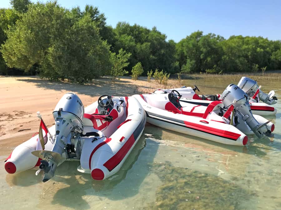 Abu Dhabi: Yas Island Self-Driving Guided Speedboat Tour - Mangrove Alley brings wildlife into the route