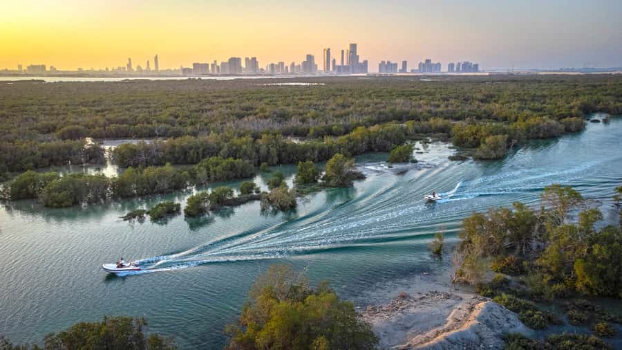 Abu Dhabi: Yas Island Self-Driving Guided Speedboat Tour - A swim stop at Peninsula Gold Beach