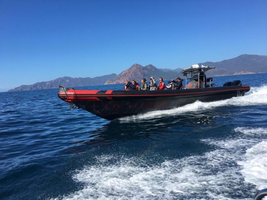 Ajaccio/Porticcio: Scandola & Piana Semi-Rigid Boat Day Trip - Key points to know before you book