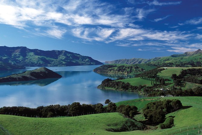 Akaroa Shore Excursion: Christchurch City Tour and Jet Boating - The Waimakariri River jet boat ride