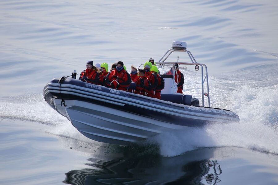 Akureyri: 2-Hour Whale Watching Express by RIB Speedboat - Minke whales, dolphins, porpoises, and bird life