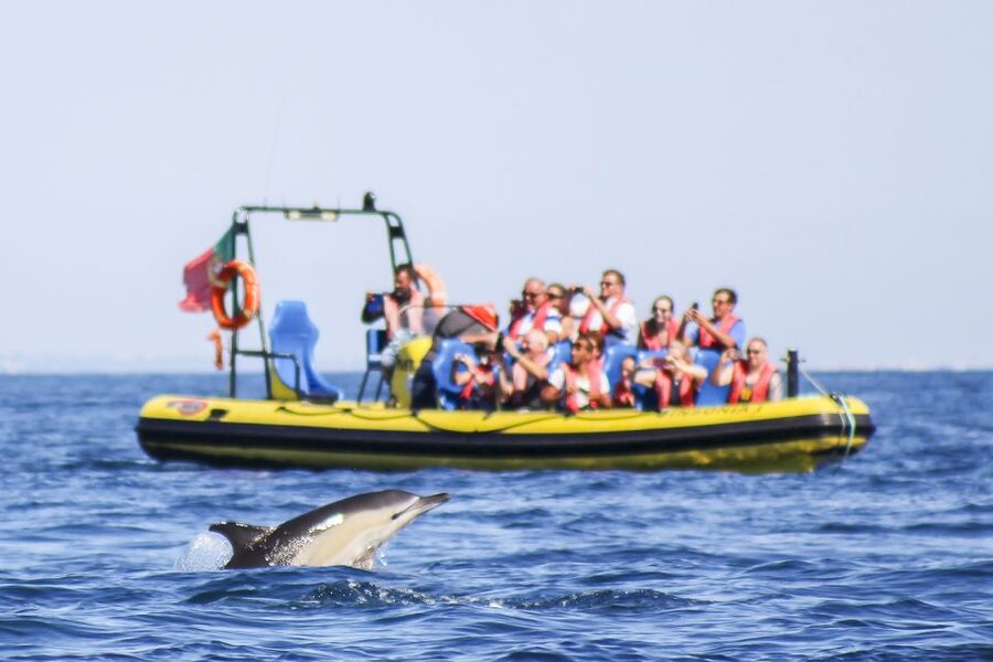 Albufeira: Benagil Caves & Dolphin Watching Speed Boat Tour - Entering Benagil Cave for a few minutes