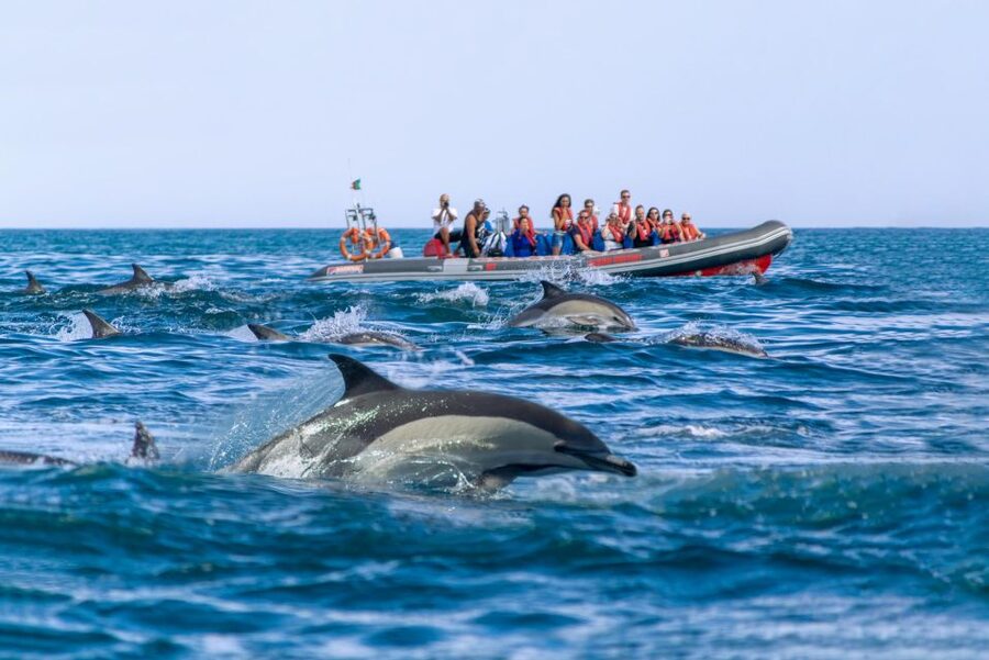 Albufeira: Dolphins & Benagil Caves RIB Tour - What to wear for the sea