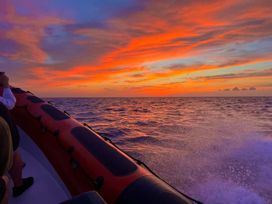 Alcudia: Dolphin Watching at Sunrise with Speedboat - Music, stories, and the mood on the water
