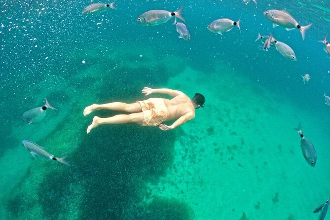 Alghero: snorkeling RIB tour in Porto Conte and Capo Caccia - Foradada Island and the Palombi cave