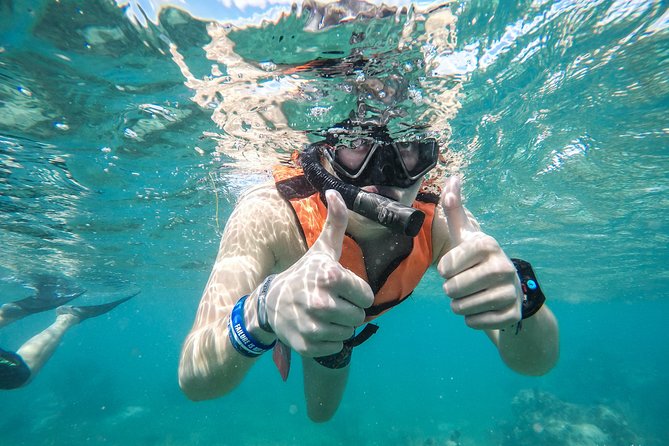 Amazing Speedboat Cancun - What the Price Really Includes at $46.94