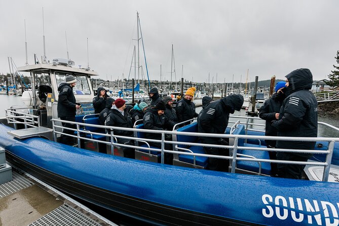Anacortes Whale Watching Adventure Tour - Zodiac Boat - The First Search Across the Salish Sea