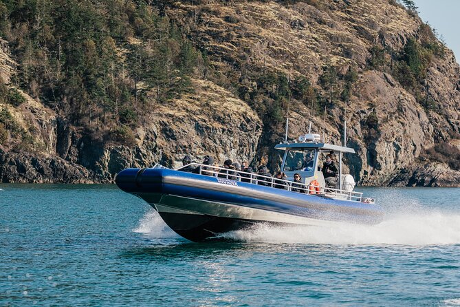 Anacortes Whale Watching Adventure Tour - Zodiac Boat - What the Three and a Half Hours Feel Like