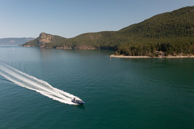 Anacortes Whale Watching Adventure Tour - Zodiac Boat - Booking, Cancellations, and Weather